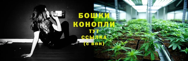 прущая мука Гусиноозёрск