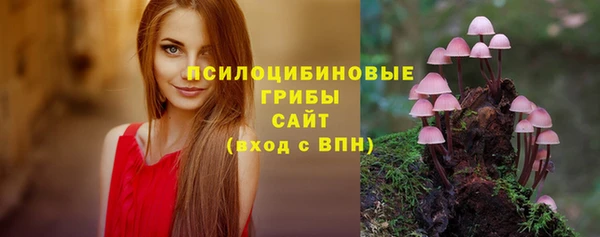 спайс Горнозаводск