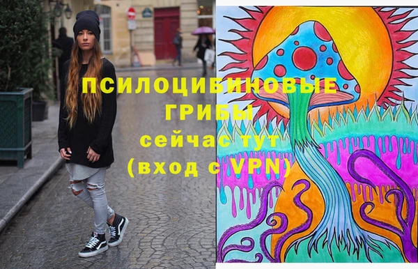 спайс Горнозаводск