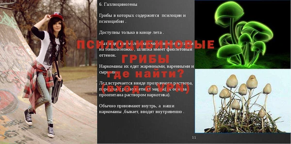 спайс Горнозаводск