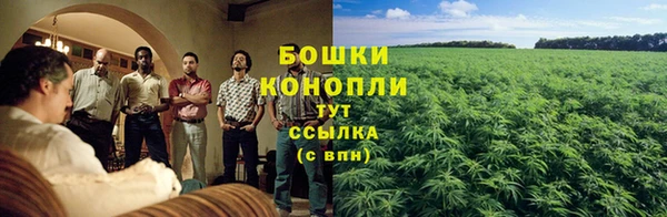 хмурый Горняк