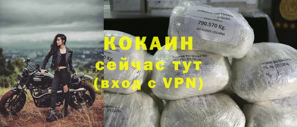 хмурый Горняк