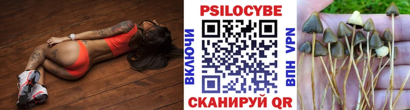 Галлюциногенные грибы MAGIC MUSHROOMS  Купить где  Новохопёрск 